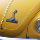 Illustration for article titled Carroll Shelby, Beetle Owner?